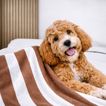Athleisure Essentials Pet Blanket Bronzed Brown