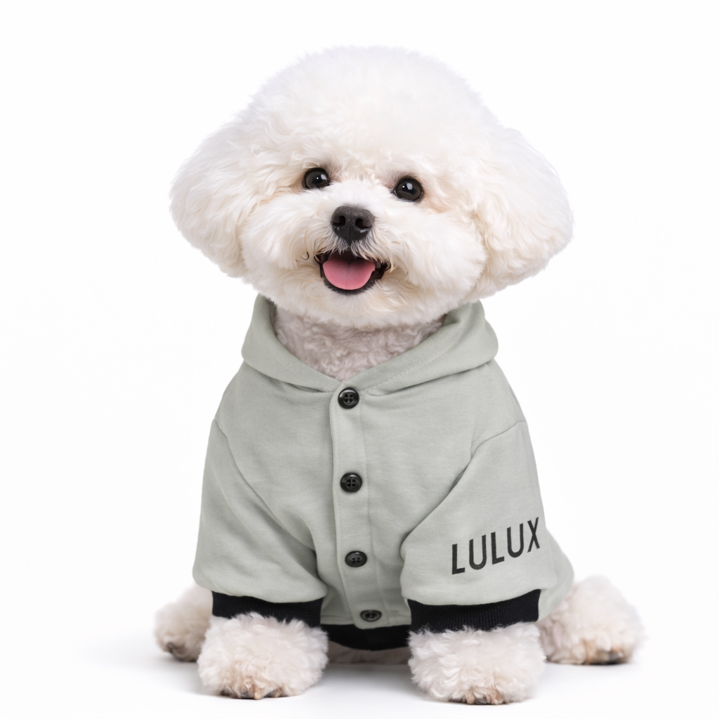 Athleisure Essentials Dog Hoodie Indi Sage