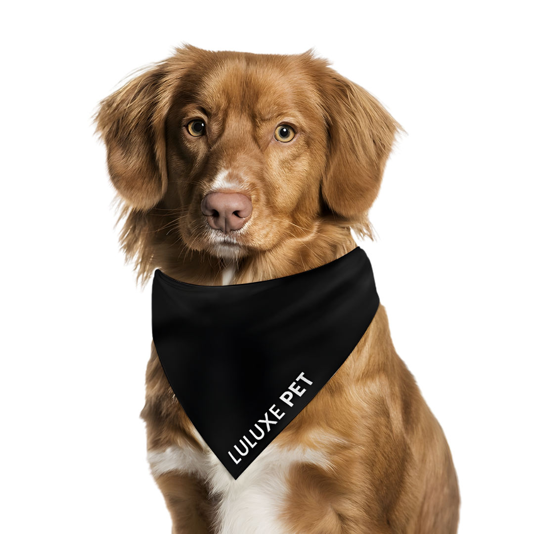 Athleisure Essentials Pet Scarf Black + White