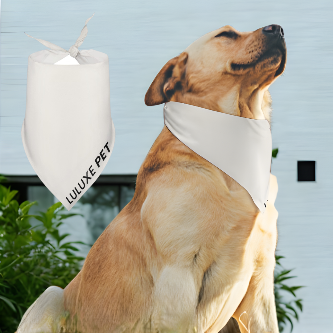 Athleisure Essentials Pet Scarf Creamy Beige