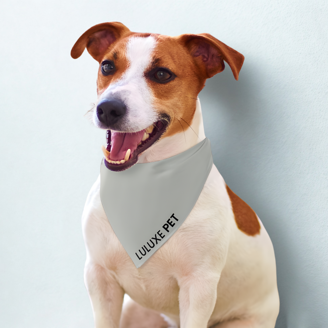 Athleisure Essentials Pet Scarf Indi Sage