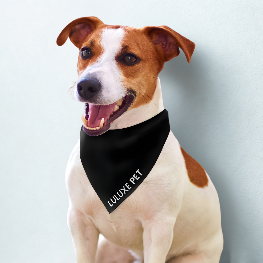Athleisure Essentials Pet Scarf Black + White