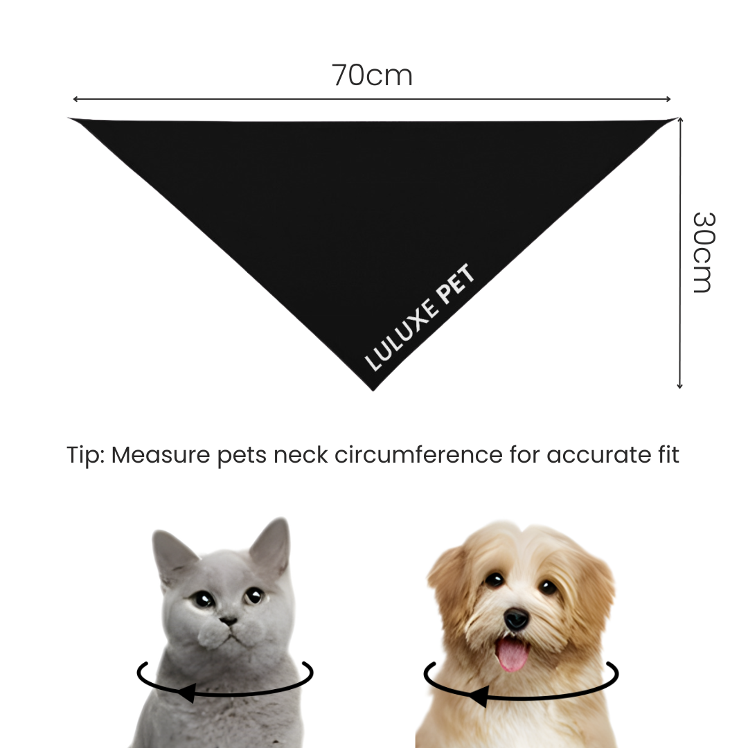 Athleisure Essentials Pet Scarf Black + White