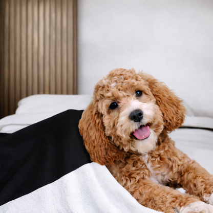 Athleisure Essentials Pet Blanket Black + White