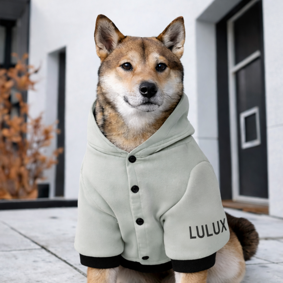 Athleisure Essentials Dog Hoodie Indi Sage