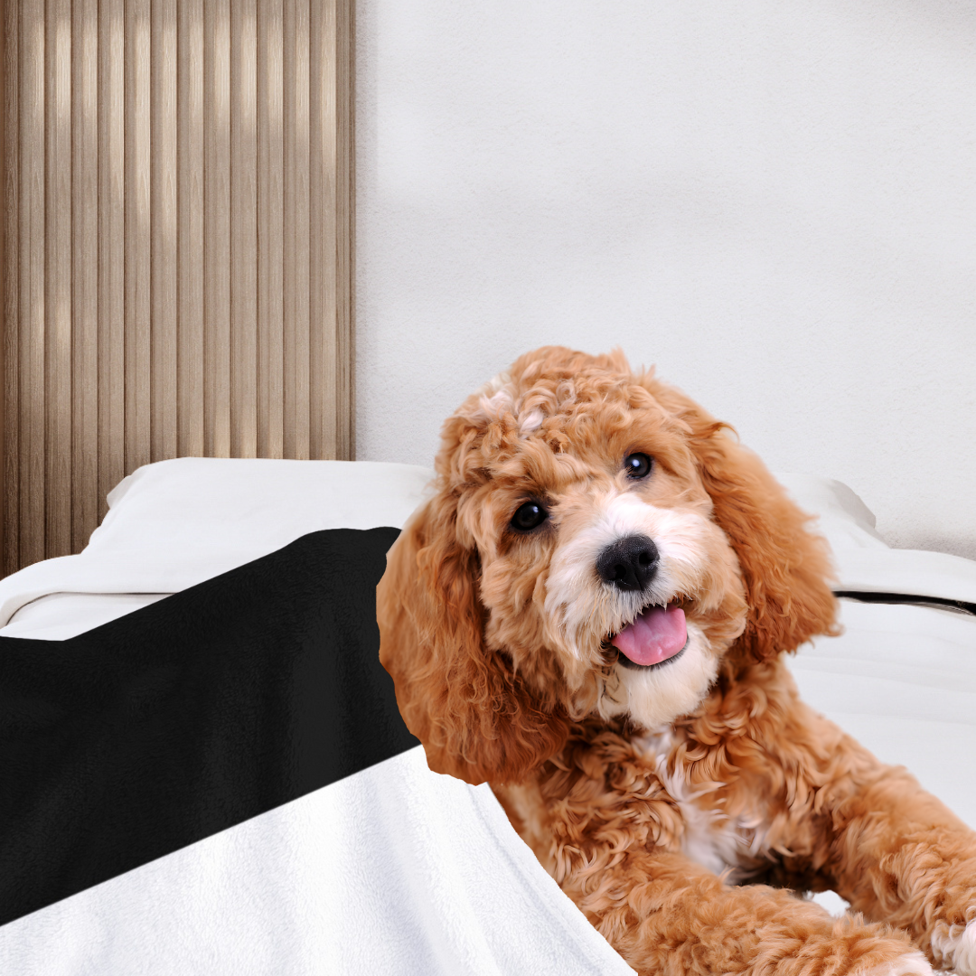 Athleisure Essentials Pet Blanket Black + White