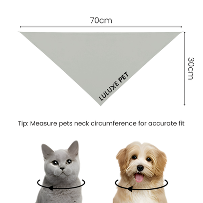 Athleisure Essentials Pet Scarf Indi Sage