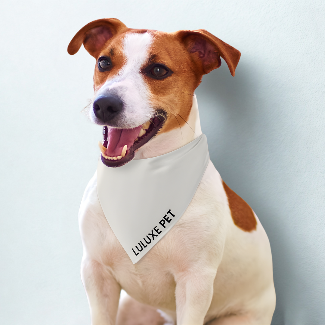 Athleisure Essentials Pet Scarf Creamy Beige