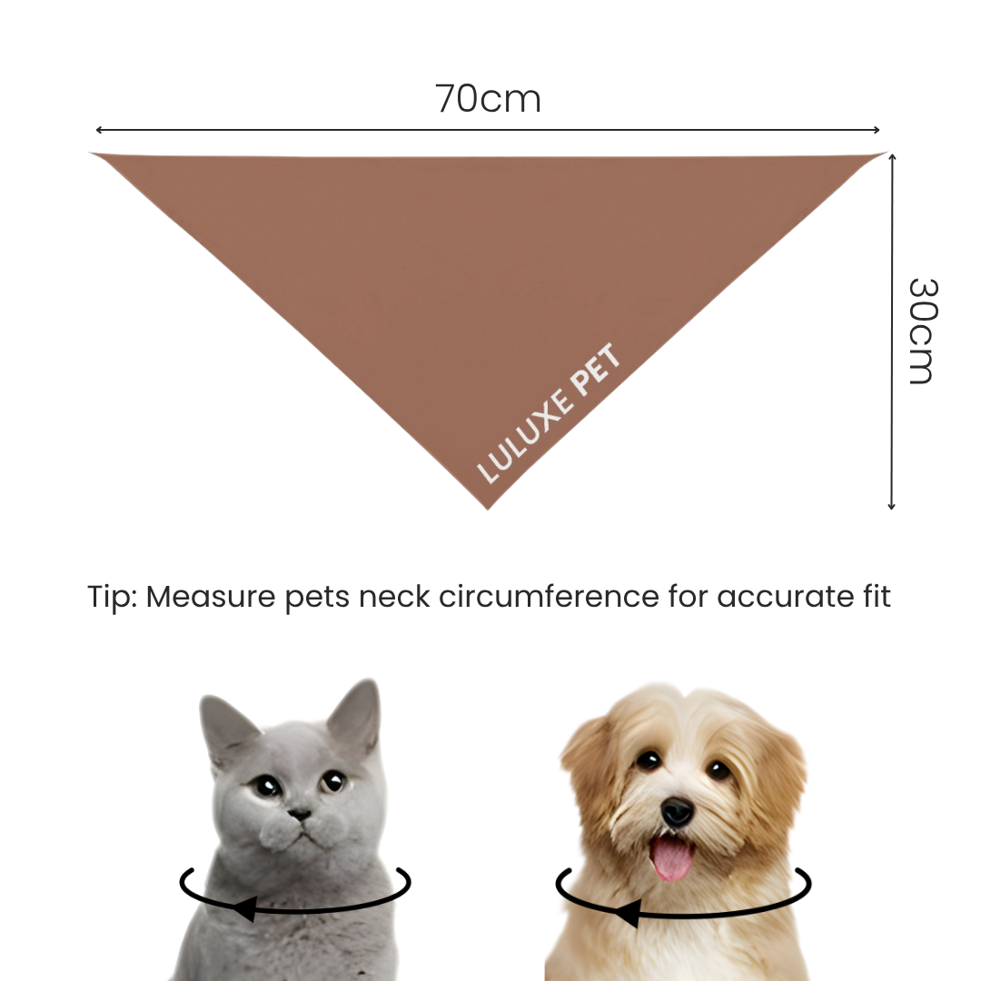 Athleisure Essentials Pet Scarf Bronzed Brown