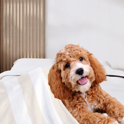 Athleisure Essentials Pet Blanket Creamy Beige