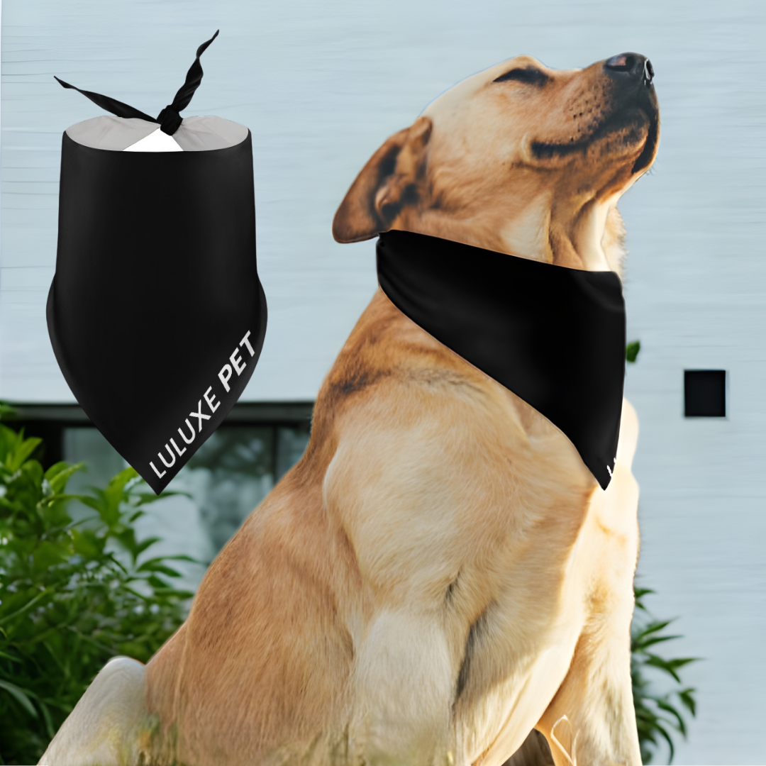 Athleisure Essentials Pet Scarf Black + White