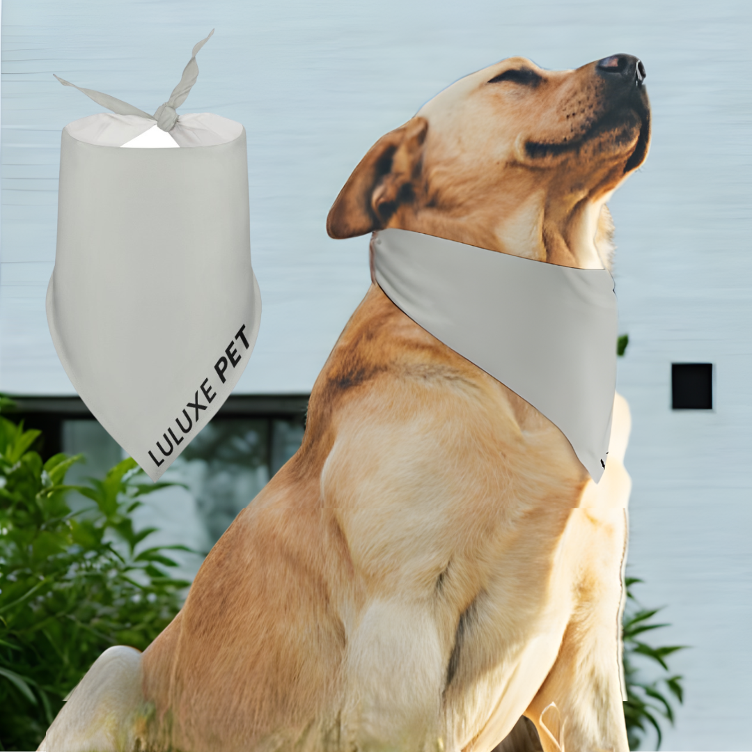 Athleisure Essentials Pet Scarf Indi Sage