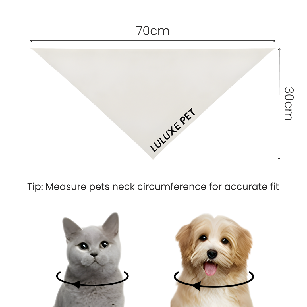 Athleisure Essentials Pet Scarf Creamy Beige