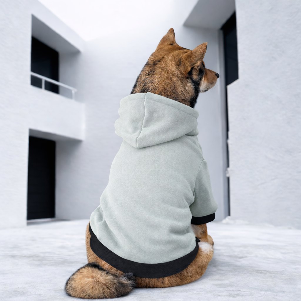 Athleisure Essentials Dog Hoodie Indi Sage