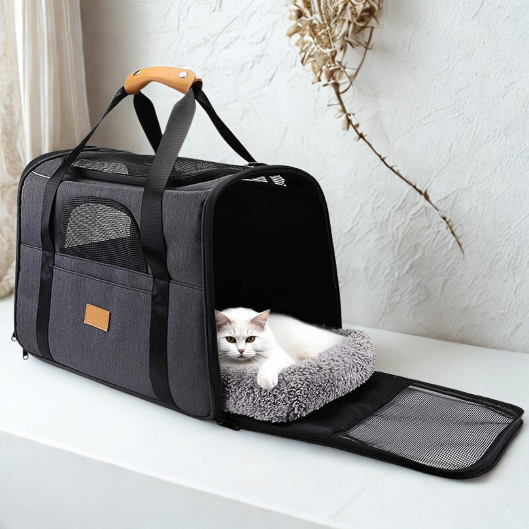 Designer Pet Carrier