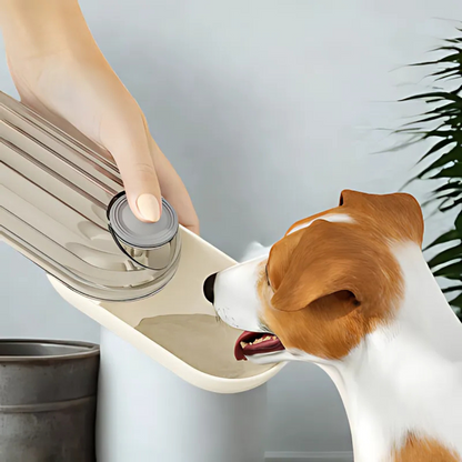 Pet Bottle Water & Food Creamy Beige