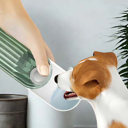 Pet Bottle Water & Food Indi Sage