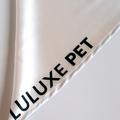 Athleisure Essentials Pet Scarf Creamy Beige