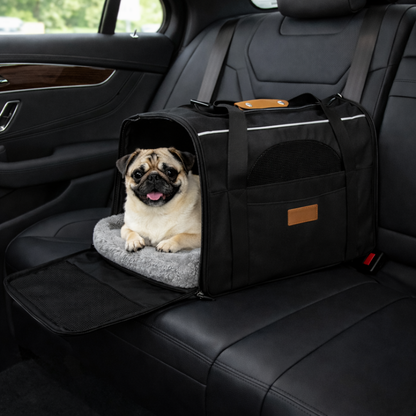 Designer Pet Carrier