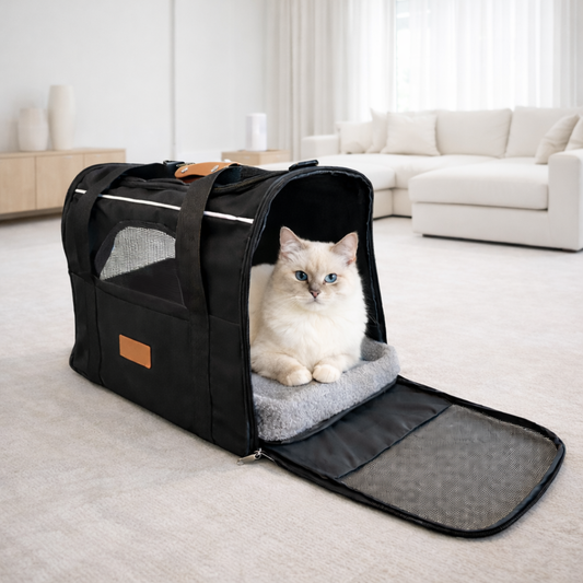Designer Pet Carrier