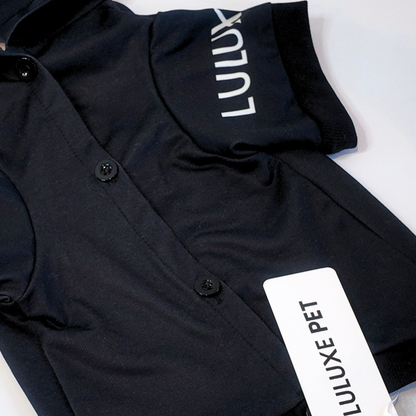 Athleisure Essentials Dog Hoodie Black + White