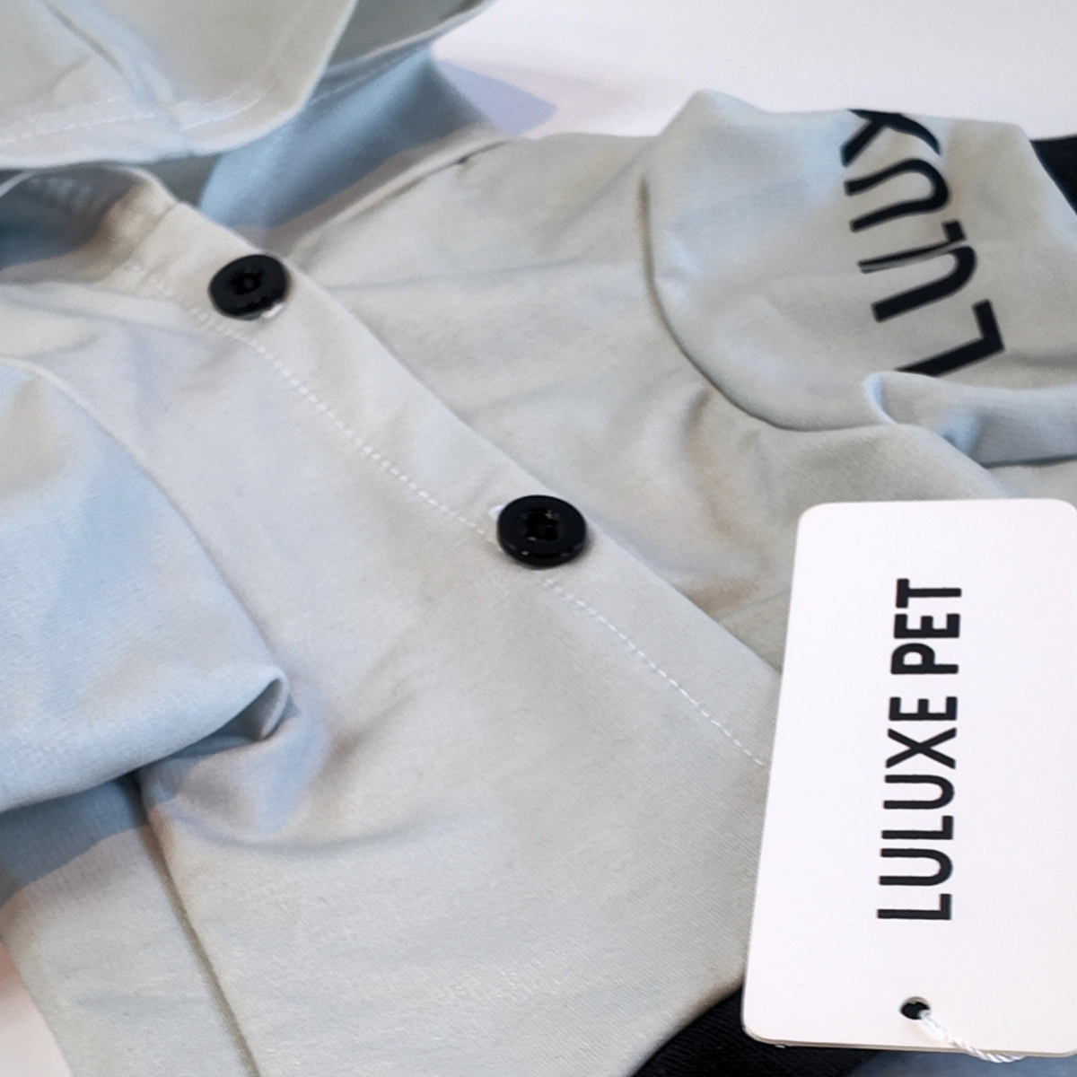 Athleisure Essentials Dog Hoodie Indi Sage